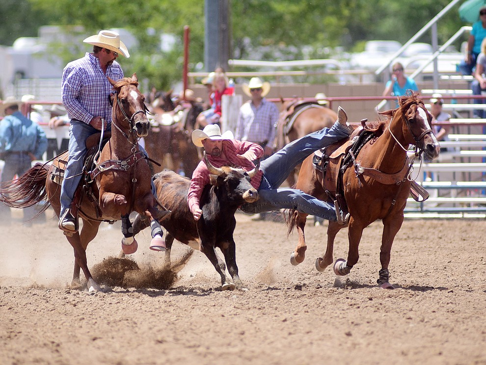 Tim Roberston had a 8.5 second run during the final performance of the 2016 Prescott Frontier Days Rodeo Monday afternoon. (Les Stukenberg/The Daily Courier)