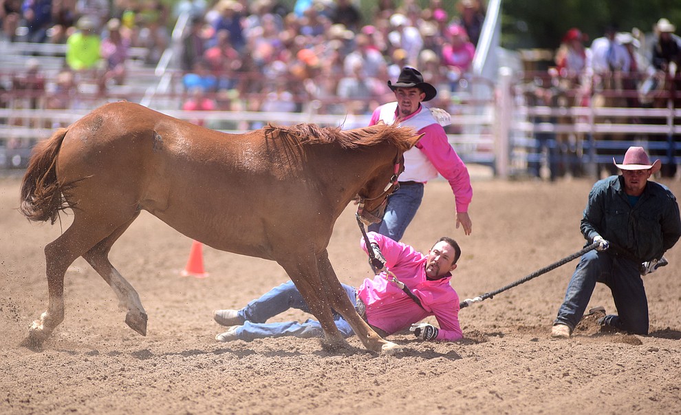 Wild horse racing during the final performance of the 2016 Prescott Frontier Days Rodeo Monday afternoon. (Les Stukenberg/The Daily Courier)