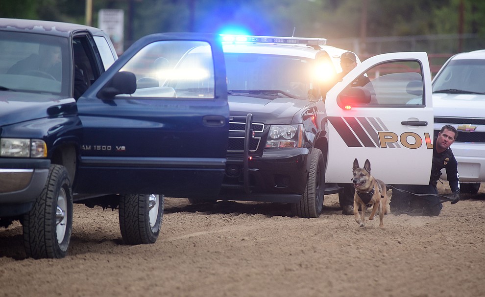 Tempe Police Departments K9 Grumpy heads to a suspect in a high risk vehicle stop during a public demonstration by some of the 70 dog and handler teams attending the 24th annual Arizona Law Enforcement K9 Association at the Prescott Rodeo Grounds Tuesday evening. (Les Stukenberg/The Daily Courier)