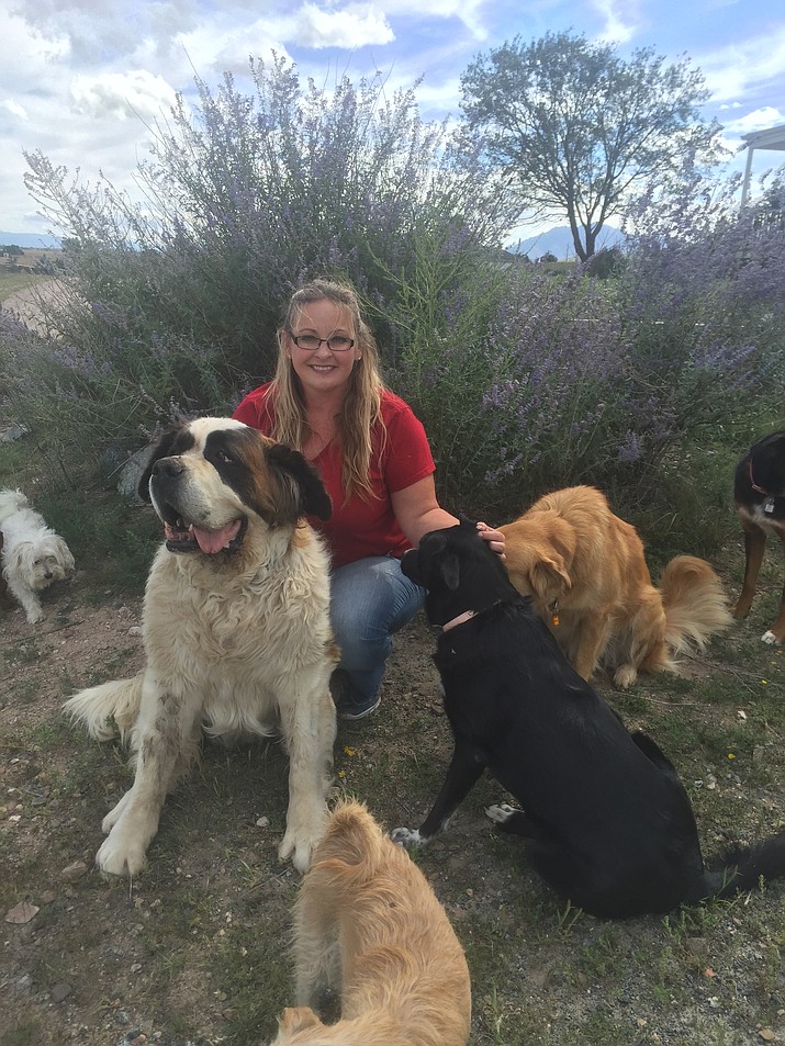 Ale Defoe poses with some of her rescue dogs at her Chino Valley home. (Courtesy photo)