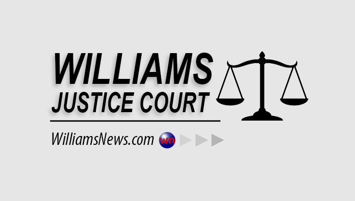 From the bench: Safety at our courts in an uncertain world Williams