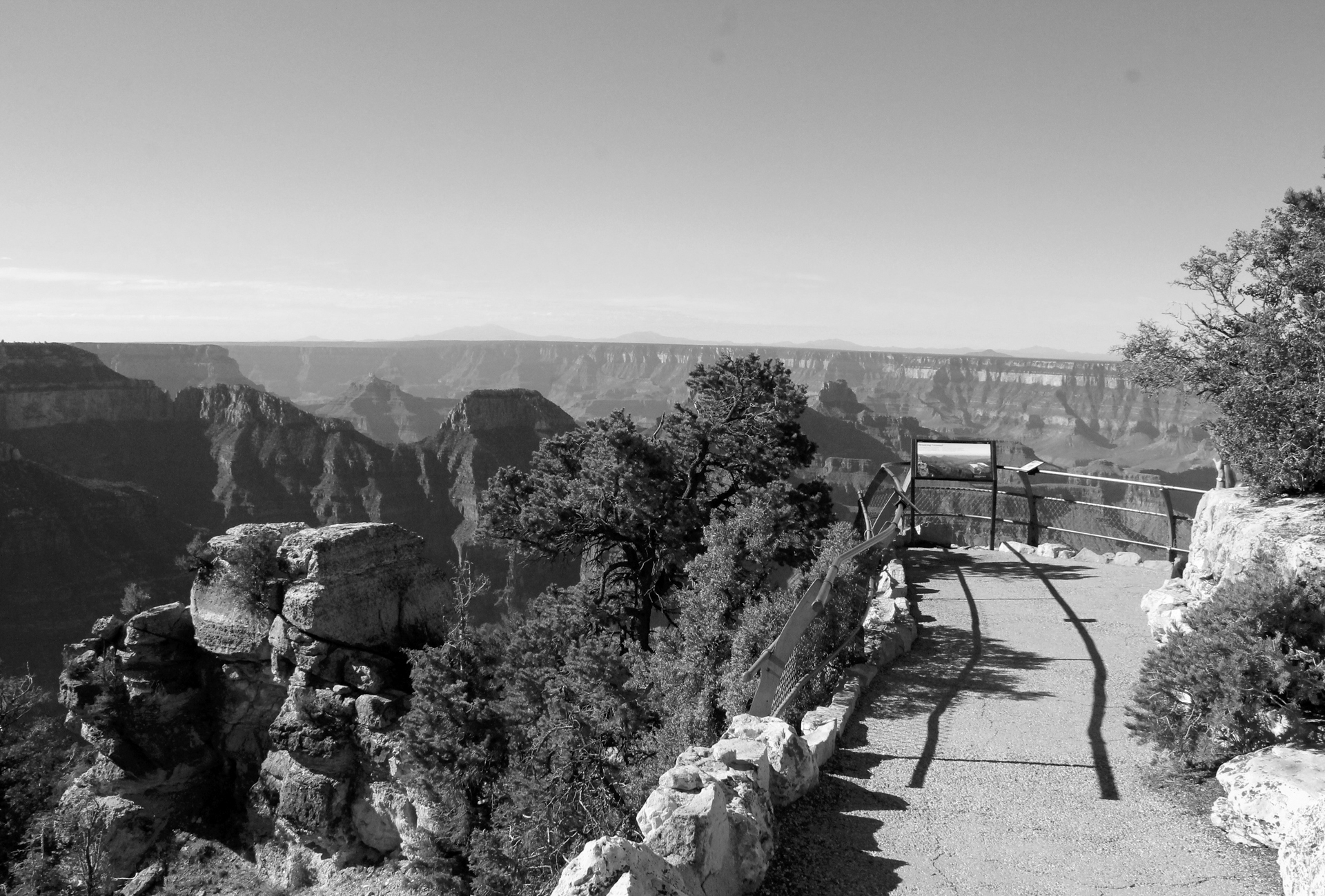 Grand Canyon National Park ignites burns near North Rim developed area