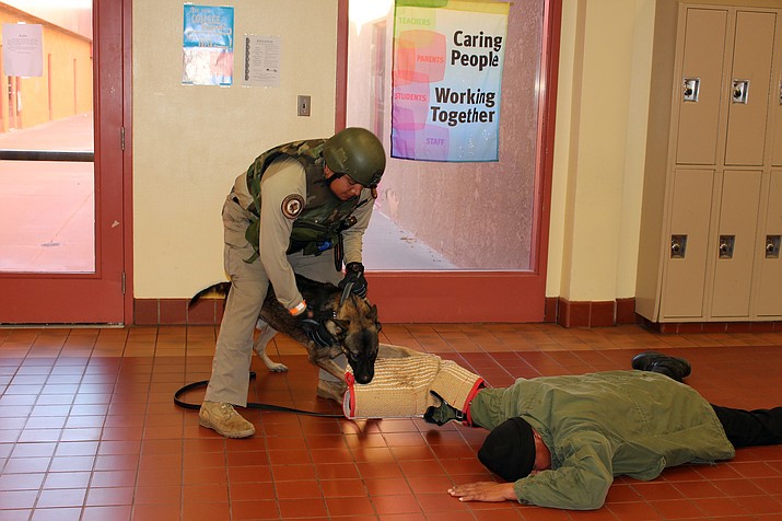 Hopi Police Officer Jared Shupla and his K9 partner get the active shooter under control. Photo/Stan Bindell