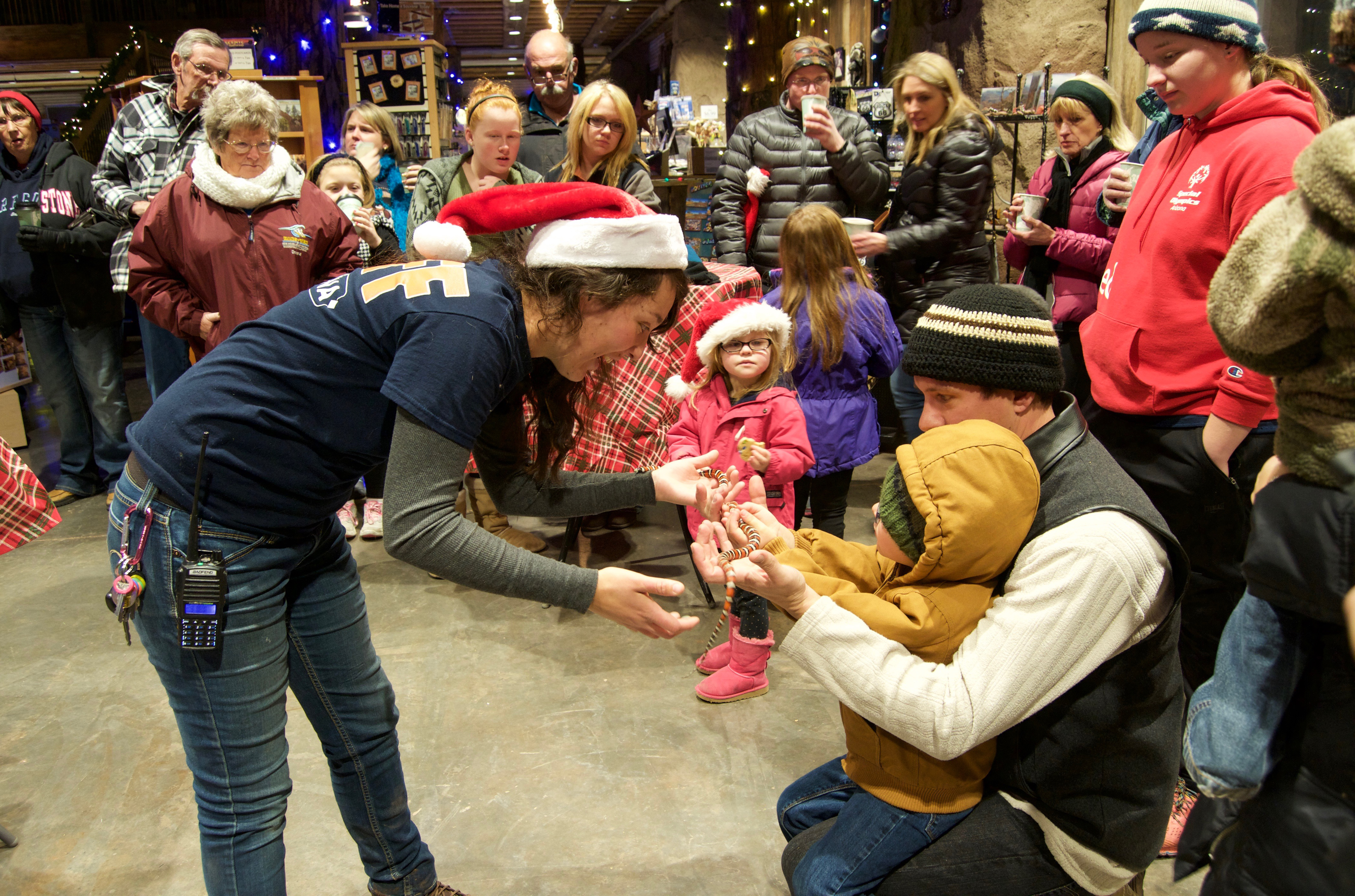 Bearizona’s Wild Wonderland kicks off holiday season WilliamsGrand Canyon News Williams