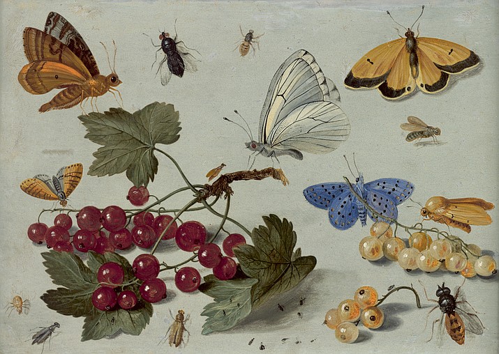 This undated photo provided by the New York Botanical Garden shows Jan van Kessel the Elder's "Still life study of plants, insects, arachnids, mollusks, and reptiles," 1653-58, Oil on copper. The piece is part of what is being called a sort of coming out party for Rachel "Bunny" Mellon's enormous art collection. More than 50 rare masterpieces from her collection, most never before shown in public, are now on view in "RedoutÃ© to Warhol: Bunny Mellon's Botanical Art," at the New York Botanical Garden. The show will remain on view through Feb. 12, 2017. (Oak Spring Garden Library/New York Botanical Garden via AP)