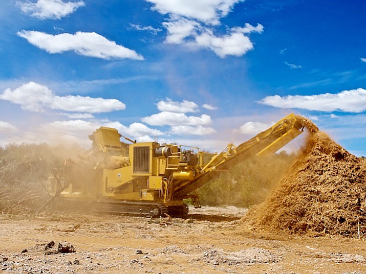 Biomass What is it and why should we care? The Daily Courier