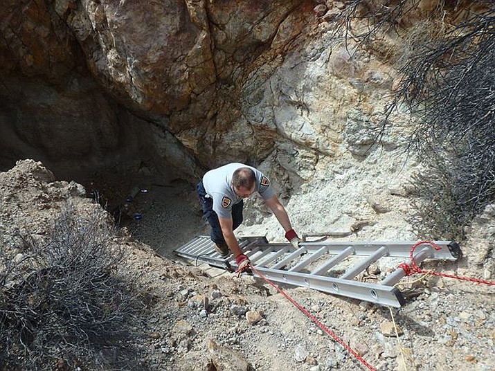 Game & Fish comes to the rescue, saves tortoise Kingman Daily Miner