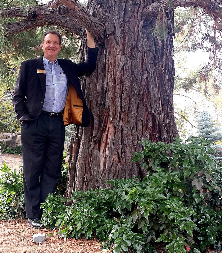 Steve Walker poses next to the giant sequoia, or redwood, tree near the southeast corner of the Yavapai College campus. The college dedicated the tree in Walker's honor for his 10-year contribution as executive director of the Yavapai College Foundation.

