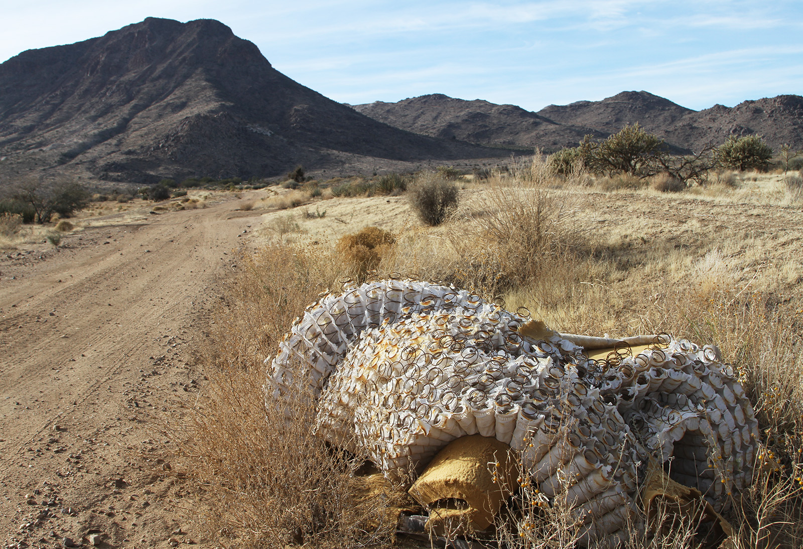 Solutions sought to control desert dumping Kingman Daily Miner