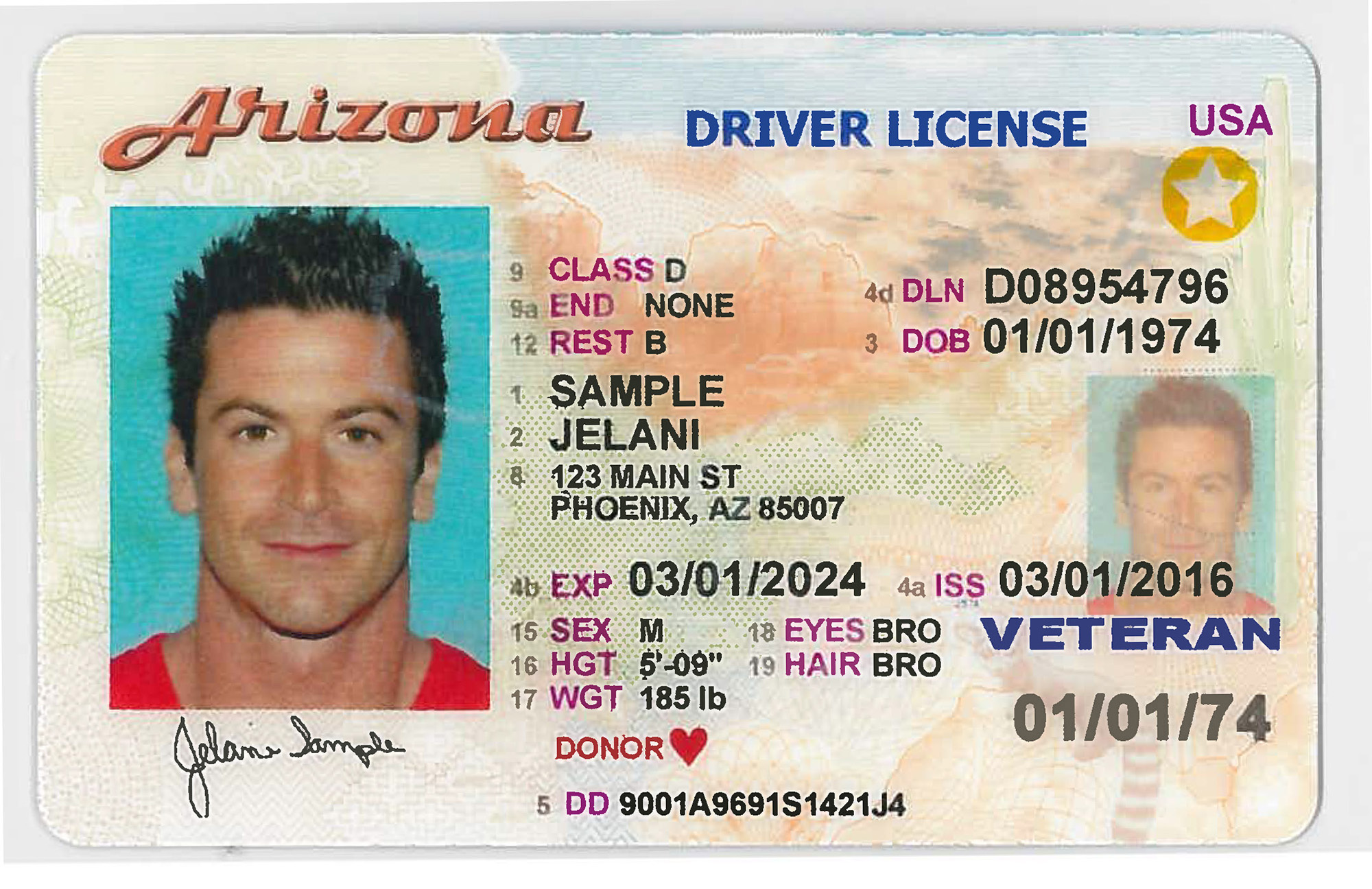 State driver licenses, IDs valid for air travel until 2020  The Verde