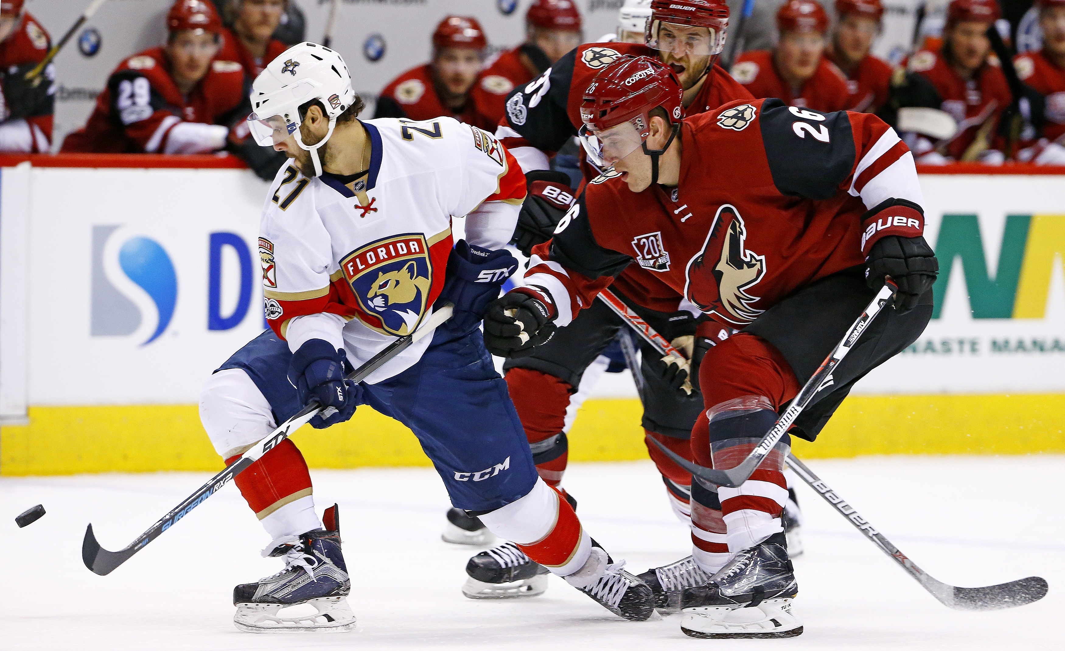 Аризона хоккейный. Аризона Флорида. Michael Stone хоккей. Michael Stone Calgary. Hockey Night in Canada.