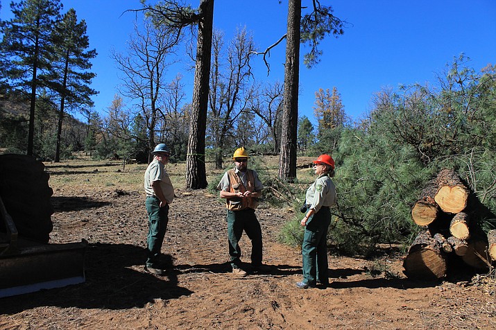 Forest managers discuss plans at a 4FRI project south of Williams in the fall of 2016. 