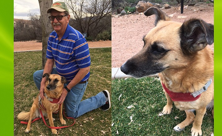 Bella (left with owner Loren), has made a cross-continent journey from Mozyr, Belarus, to find a home at last at Cottonwood Ranch. (Photos courtesy of Mary Nevans-Pederson)