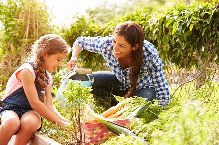 Mother And Daughter Working On Allotment Together With Vegtables And Watering Can Smiling