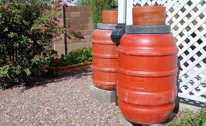 Rain barrels come in various sizes from about 50 to over 1,000 gallons. Smaller barrels can be “daisy chained” to provide more storage. CWAG/Courtesy