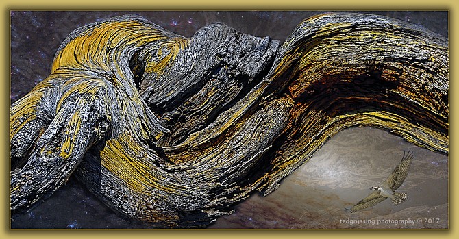 Photo detail