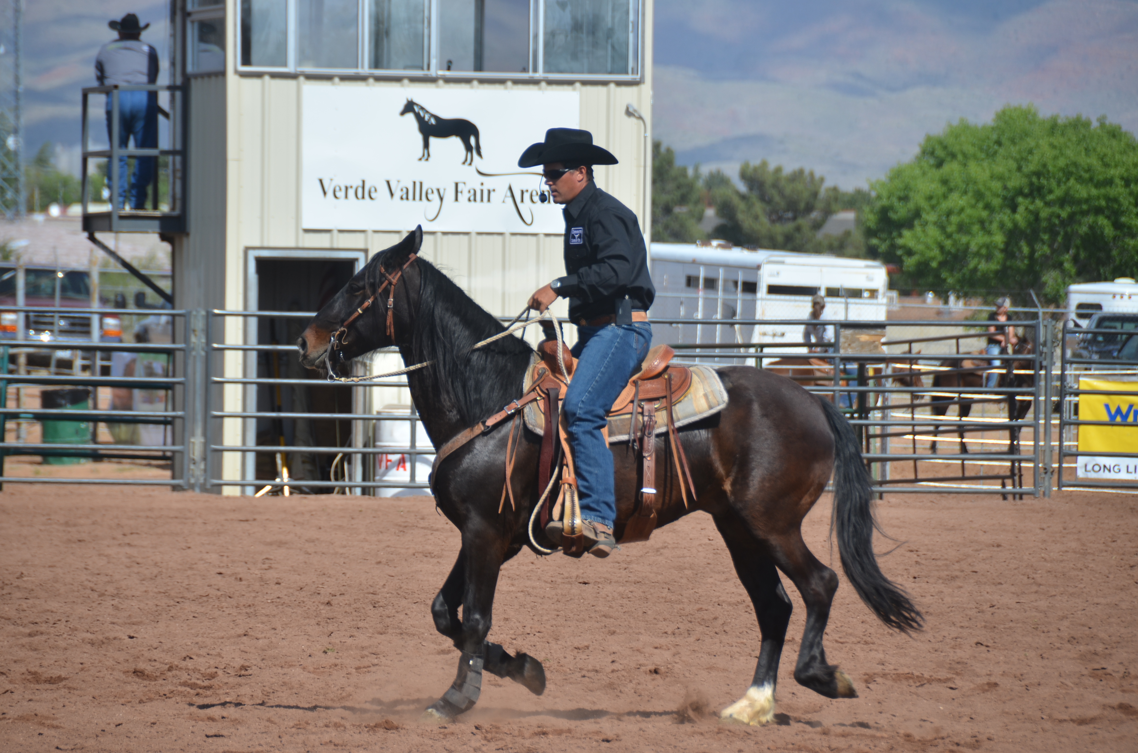 Verde Valley to giddy up for Equine Festival The Verde Independent