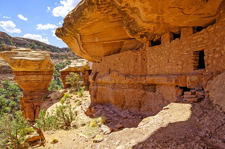 The recently-established Bears Ears National Monument is currently under review. Cedar Mesa Moon House is one of several Native American ruins located across the twin mesas. 