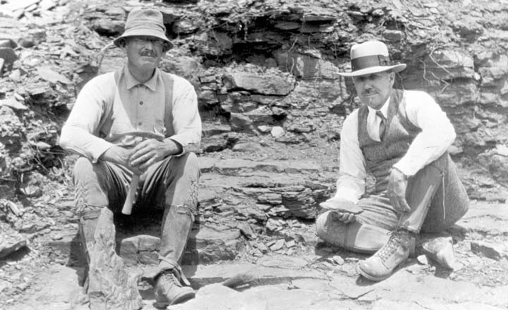 Out Of The Past Paleontologists Explore Grand Canyons Fossil Record Williams Grand Canyon 9180