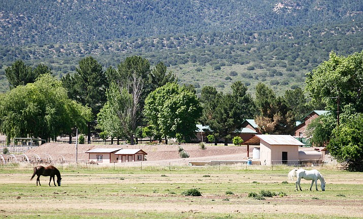 For more than 20 years, Elaine Theriault has been owner and operator of Camp Verde Ranch, LLC, the horse boarding and breeding facility at Rockin’ River Ranch. Theriault is a member of the 10-person Technical Advisory Committee to Arizona State Parks and Trails’ plan to convert the ranch into Rockin’ River Ranch State Park. (Photo by Bill Helm)