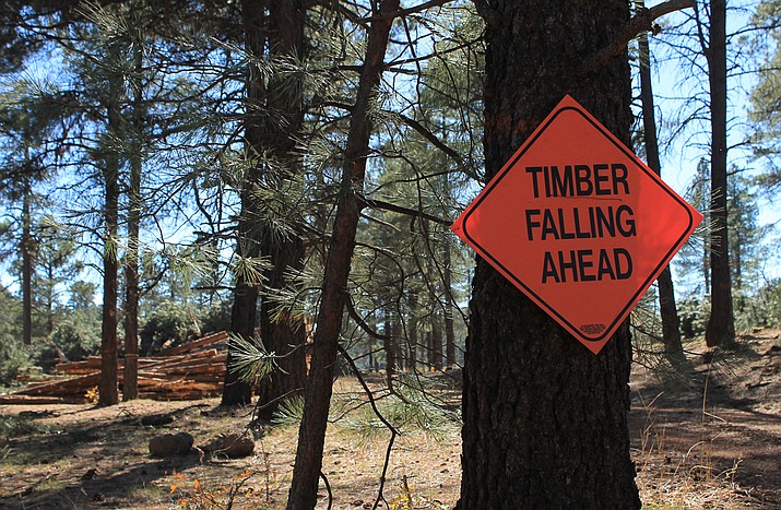 Despite slow progress with 4FRI on the western portion of the project, Kaibab National Forest continues forest restoration efforts through other timber sales and stewardship contracts.
