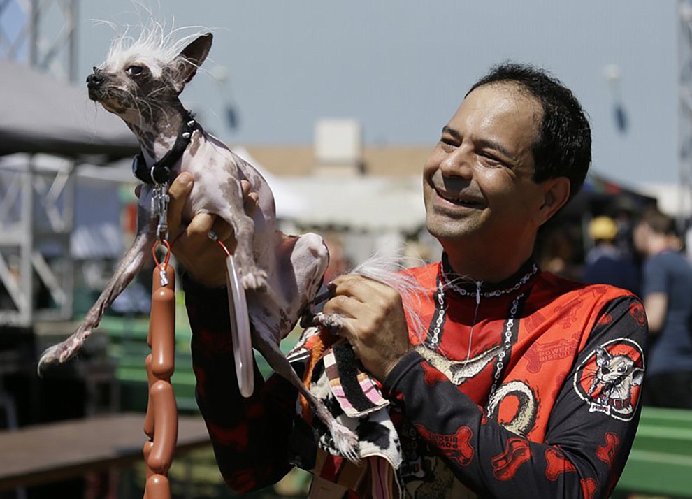 Dane Andrew of Sunnyvale, Calif., holds up his dog, Rascal, a Chinese crested, before the start of the World’s Ugliest Dog Contest at the Sonoma-Marin Fair Friday, June 23, 2017, in Petaluma, Calif. (AP Photo/Eric Risberg)