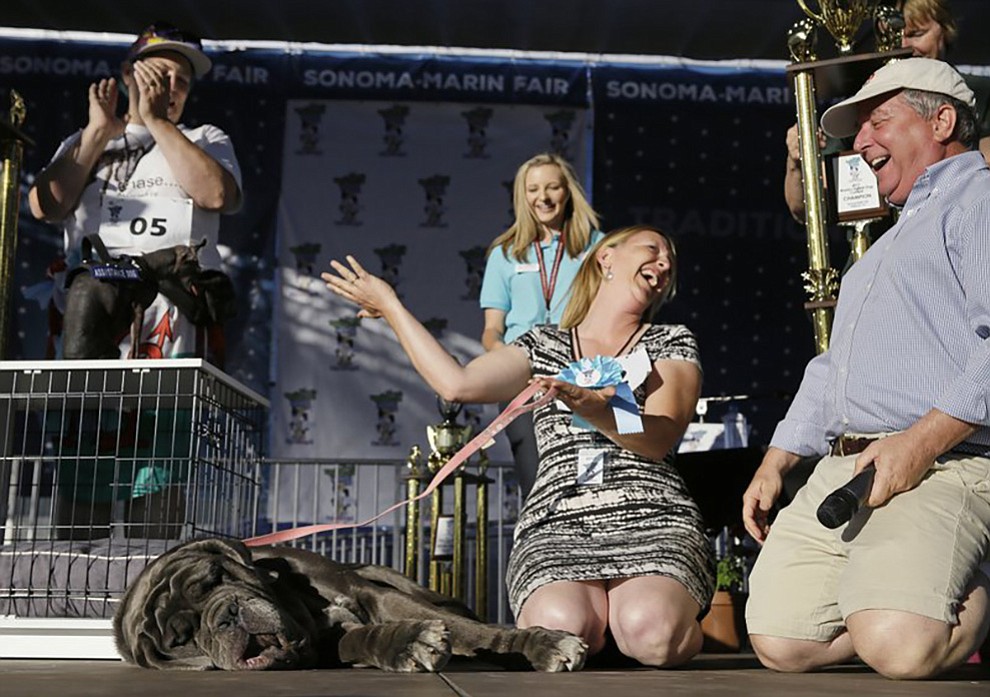 Shirley Zindler, of Sebastopol, Calif., reacts after her dog Martha, a Neapolitan mastiff, won the World’s Ugliest Dog Contest at the Sonoma-Marin Fair on Friday, June 23, 2017, in Petaluma, Calif. At right is judge Kerry Sanders. (AP Photo/Eric Risberg)