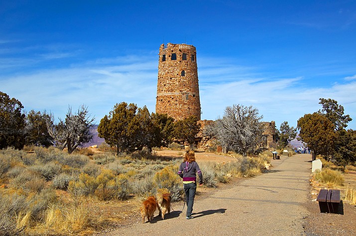 Visitors can explore with their pets at Desert View and other areas on the South Rim of the Grand Canyon.