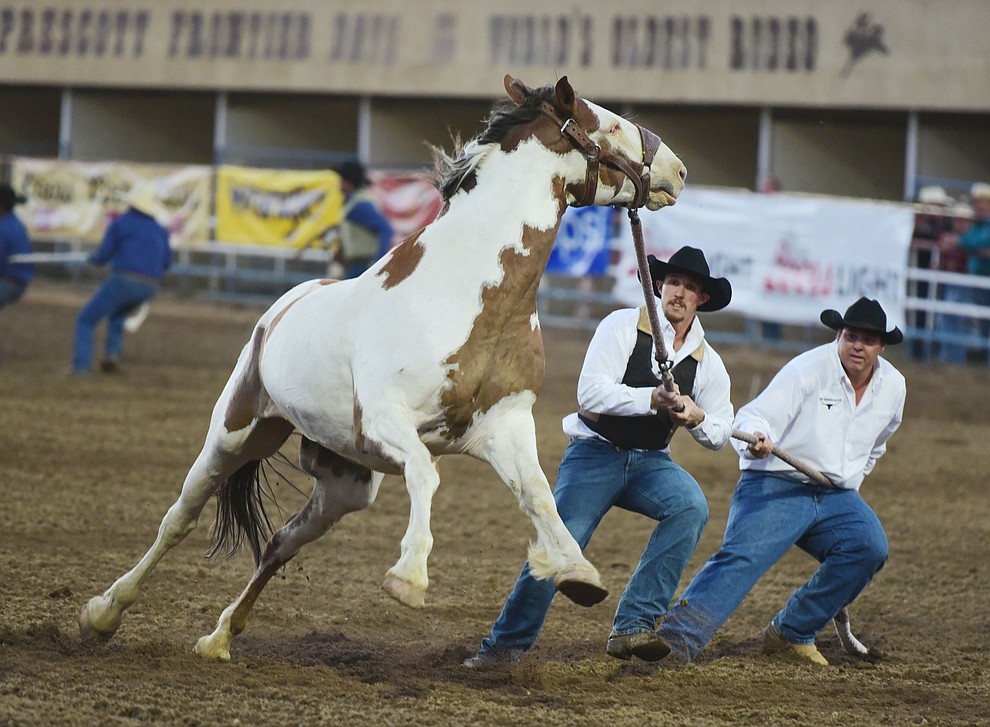 Wild horse race during the opening performance of the Prescott Frontier Days Rodeo Wednesday, June 28 at the Prescott Rodeo Grounds.  (Les Stukenberg/Courier)