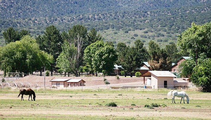 For more than 20 years, Elaine Theriault has been owner and operator of Camp Verde Ranch, LLC, the horse boarding and breeding facility at Rockin’ River Ranch. Theriault is a member of the 10-person Technical Advisory Committee to Arizona State Parks and Trails’ plan to convert the ranch into Rockin’ River Ranch State Park. (Photo by Bill Helm)