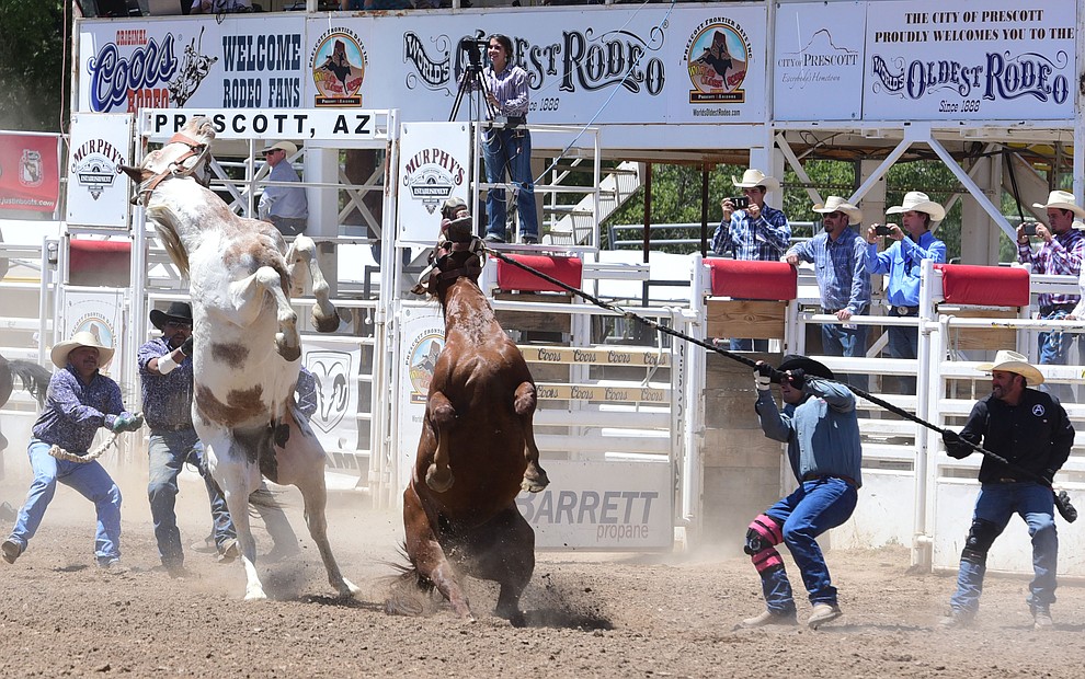Wild Horse Race/Extreme Bronc Riding during the 4th performance of the 2017 Prescott Frontier Days Rodeo at the Prescott Rodeo Grounds Saturday, July 1.  (Les Stukenberg/Courier)