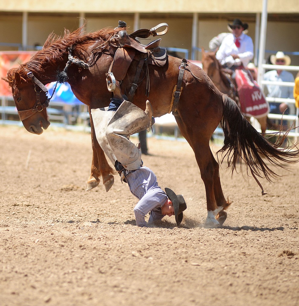 Luke Petrocolli gets thrown in the Cowpuncher's Ranch Bronc Riding during the 4th performance of the 2017 Prescott Frontier Days Rodeo at the Prescott Rodeo Grounds Saturday, July 1.  (Les Stukenberg/Courier)
