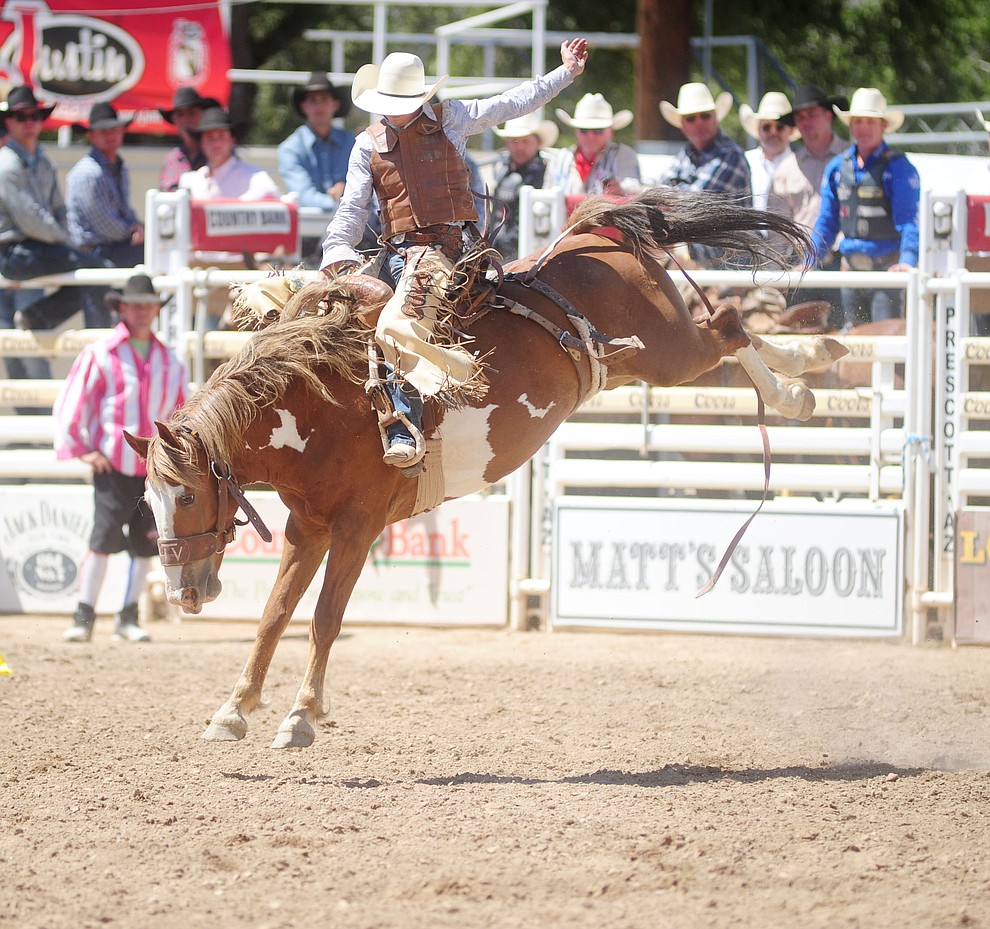 Blaise Freeman on Tami's Jammi's in the Saddle Bronc during the 4th performance of the 2017 Prescott Frontier Days Rodeo at the Prescott Rodeo Grounds Saturday, July 1.  (Les Stukenberg/Courier)