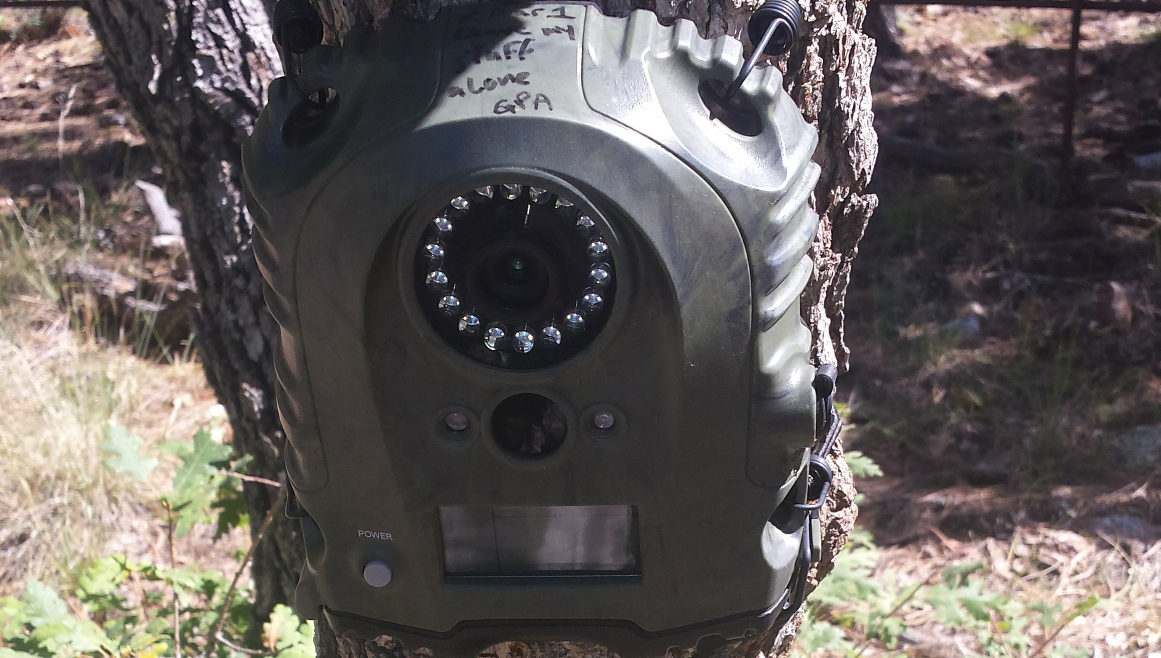 AZGFD proposing changes in trail camera use Kingman Daily Miner