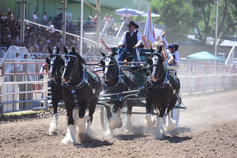 The Diamond Z English Shire Horses perform during the 8th and final performance of the Prescott Frontier Days Rodeo Tuesday, July 4 at the Prescott Rodeo Grounds.  (Les Stukenberg/Courier)