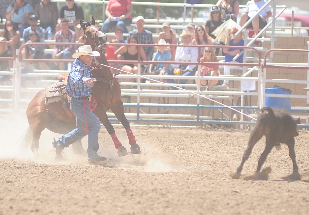 Cimarron Boardman has a 13.4 second run in the tie down roping during the 8th and final performance of the Prescott Frontier Days Rodeo Tuesday, July 4 at the Prescott Rodeo Grounds.  (Les Stukenberg/Courier)