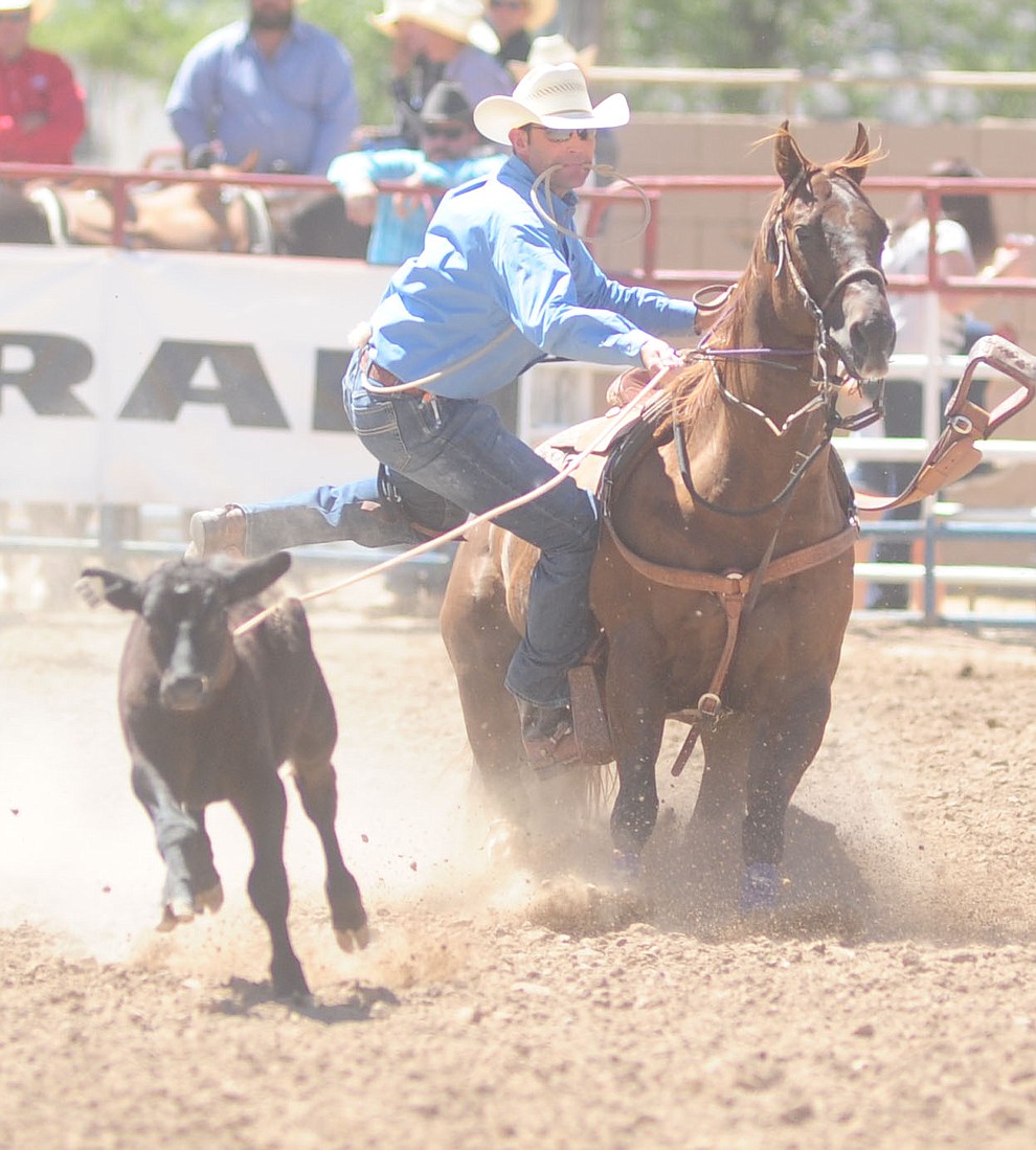 Joseph Parsons has a 10.5 second run in the tie down roping during the 8th and final performance of the Prescott Frontier Days Rodeo Tuesday, July 4 at the Prescott Rodeo Grounds.  (Les Stukenberg/Courier)