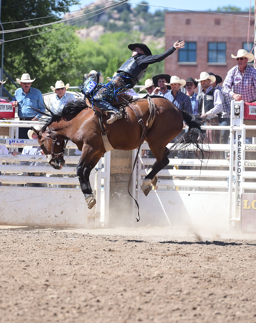 Zeke Thurston rides Ropin Dreams for a score of 86 in the saddle bronc during the 8th and final performance of the Prescott Frontier Days Rodeo Tuesday, July 4 at the Prescott Rodeo Grounds.  (Les Stukenberg/Courier)