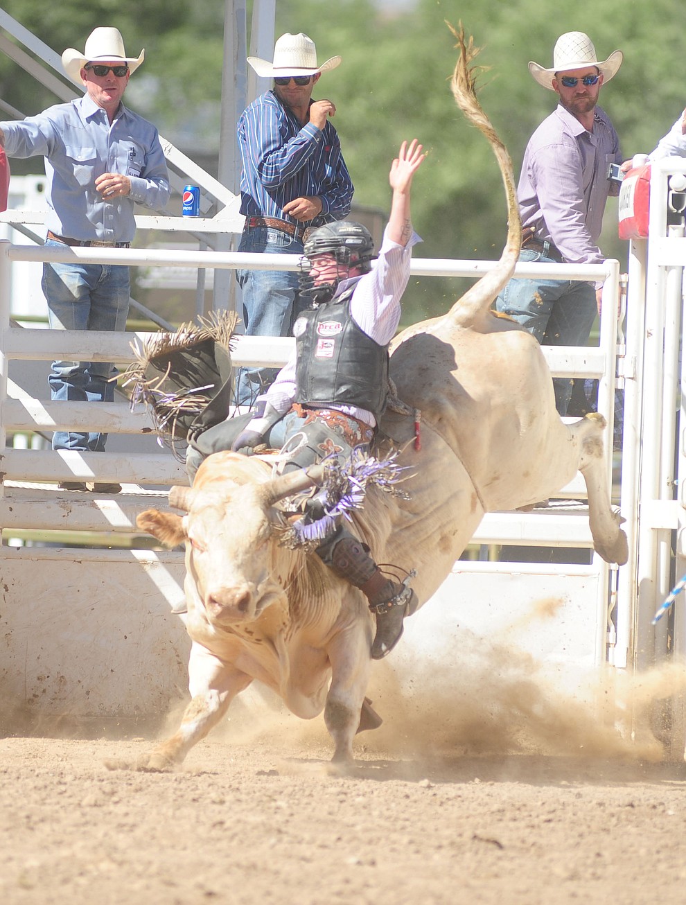 Toby Lee on Haunted Mesa in the bull riding during the 8th and final performance of the Prescott Frontier Days Rodeo Tuesday, July 4 at the Prescott Rodeo Grounds.  (Les Stukenberg/Courier)