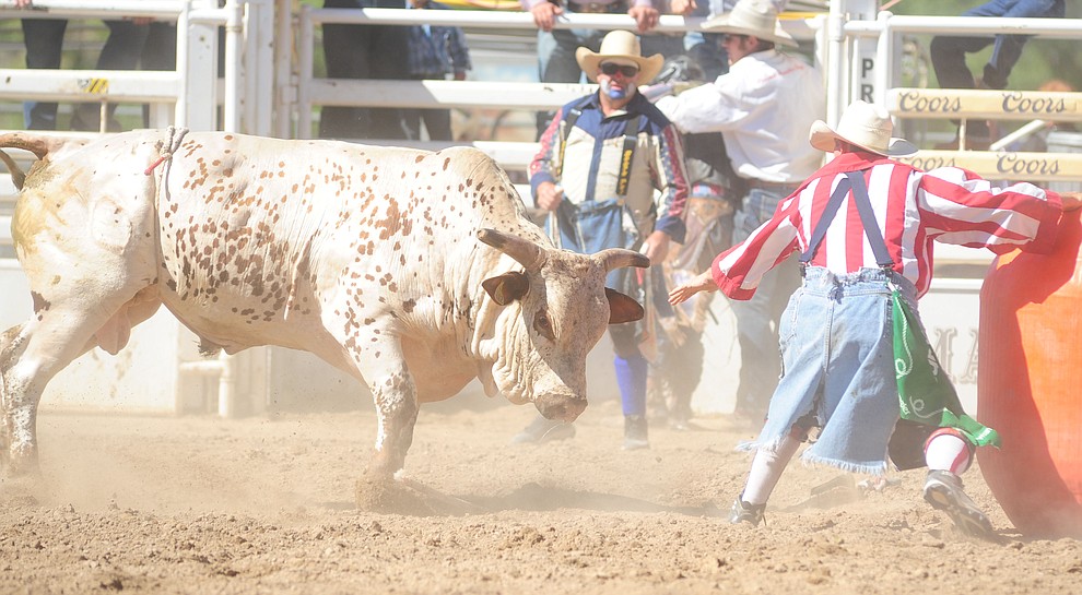 Bull fighter Quirt Hunt keeps a bull distracted during the 8th and final performance of the Prescott Frontier Days Rodeo Tuesday, July 4 at the Prescott Rodeo Grounds.  (Les Stukenberg/Courier)