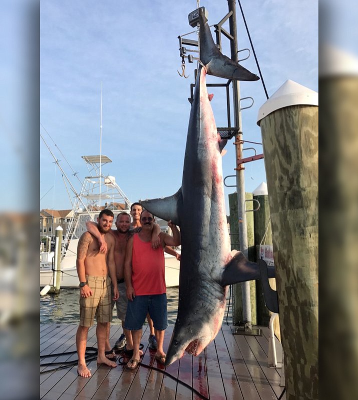 From left, Mark Miccio, Mark Miccio, Matt Miccio and Steve Miccio pose for a photo with a 926-pound Mako shark that they helped catch at Hoffmann Marina in Brielle, N.J. State environmental officials said Tuesday, July 25, that the catch won’t be recognized as a state record because more than one angler helped catch it. (Jenny Lee Sportfishing via AP)