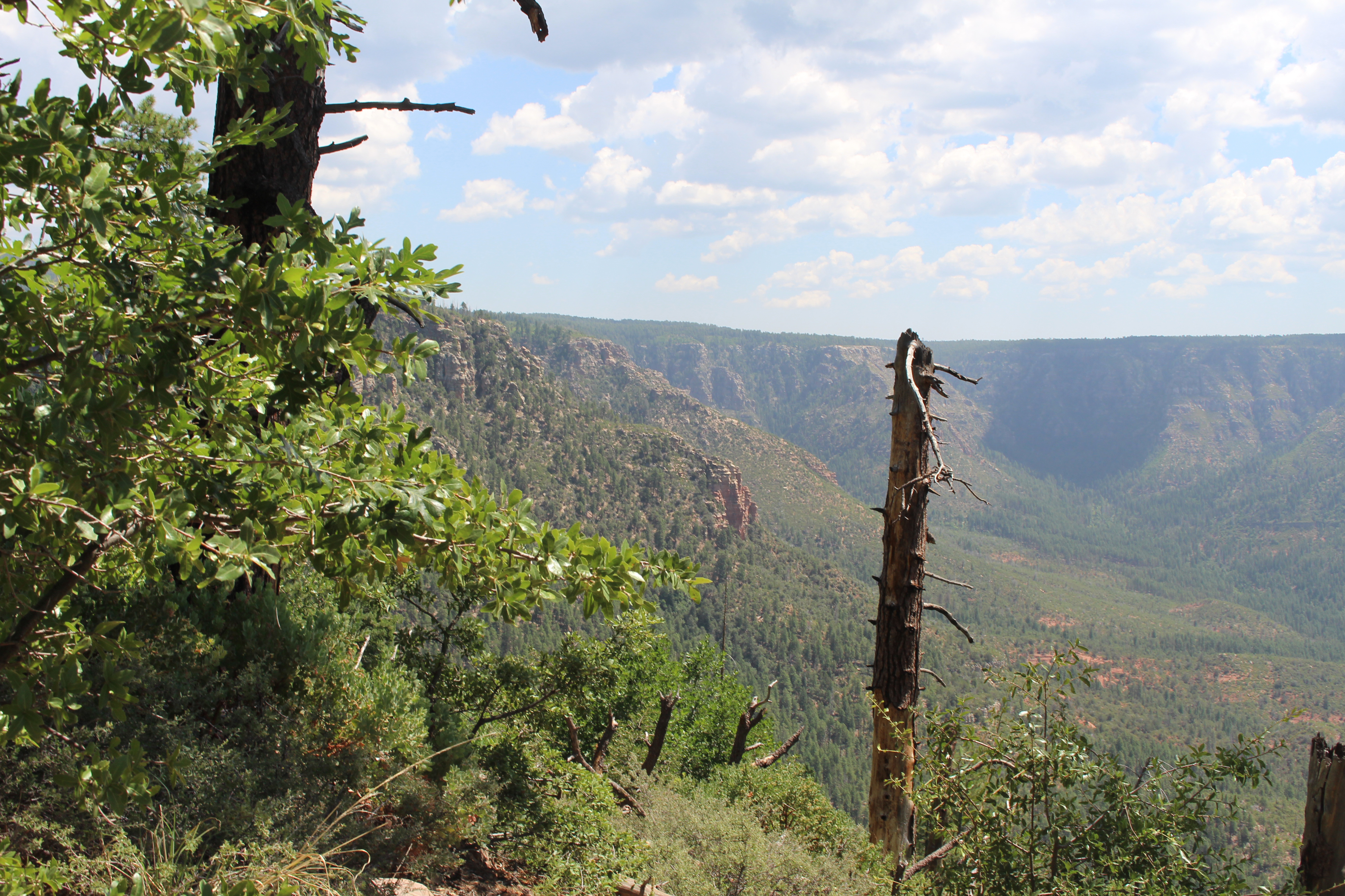 Turkey Creek Trail, This seldom used trail offers vistas an…