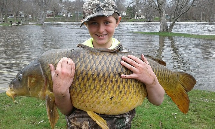 Ten-year-old Chase Stokes holds a giant carp, weighing 33.25 pounds, in Ferrisburgh, Vt. The Vermont Fish & Wildlife Department made the record official a few weeks ago, stating that the fish was a quarter-pound bigger than the previous record holder. (John Stokes via AP)

