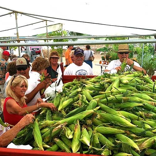 Folks pick out sweet corn. (Mortimer Family Farms/Courtesy)