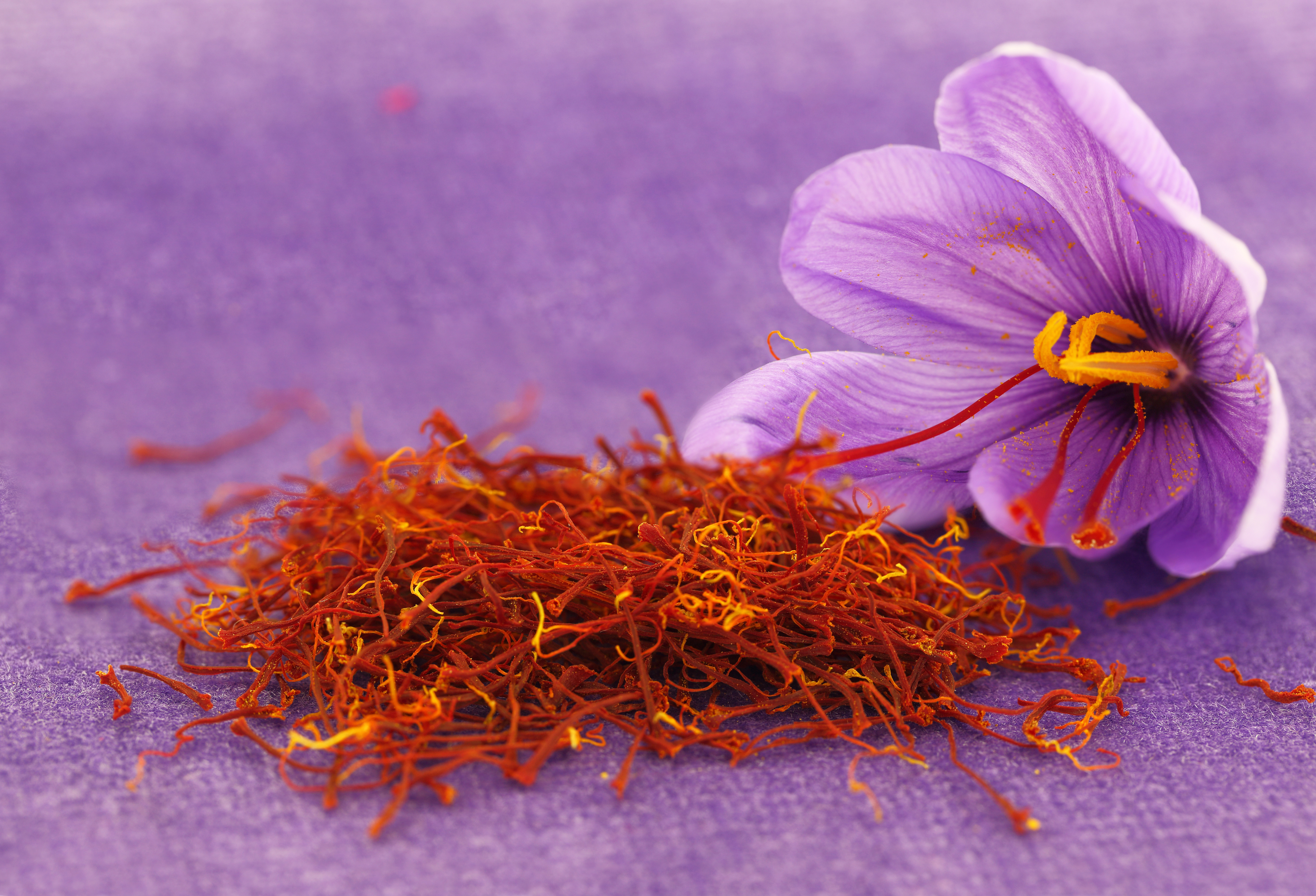 Spices: Saffron is most expensive, taking thyme to explore worthwhile
