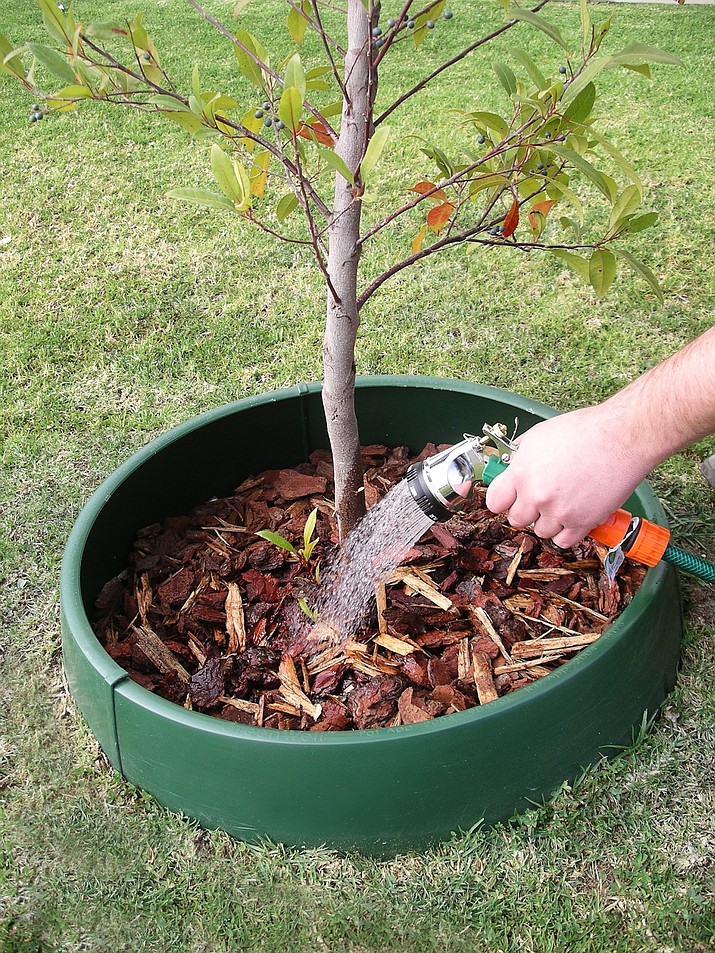 The GreenWell water saver contains and concentrates the water where it is needed during a tree’s critical root establishment phase. (Melinda Myers/Courtesy)