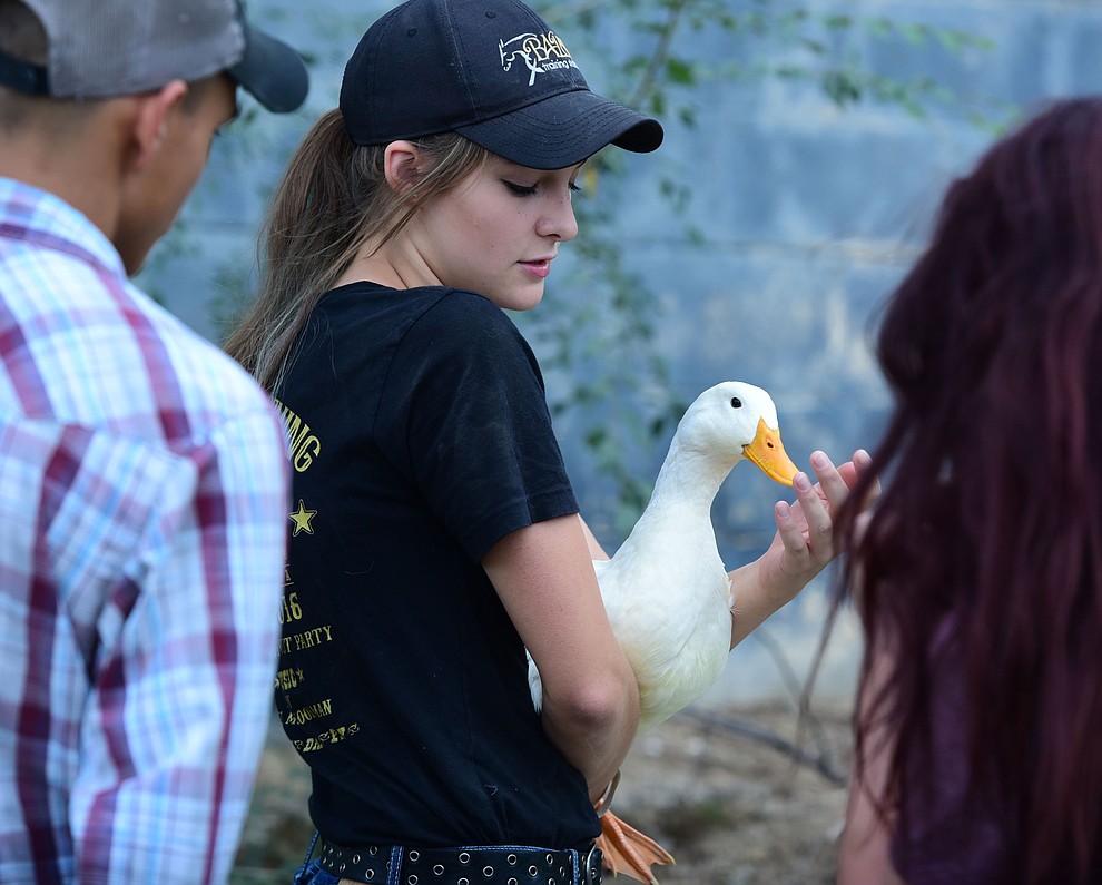 Skull Valley's Savannah Hamilton talks to her friends about her Pekin duck at the 2017 Yavapai County Fair at the Prescott Rodeo Grounds Wednesday, September 7 in Prescott . (Les Stukenberg/Courier).