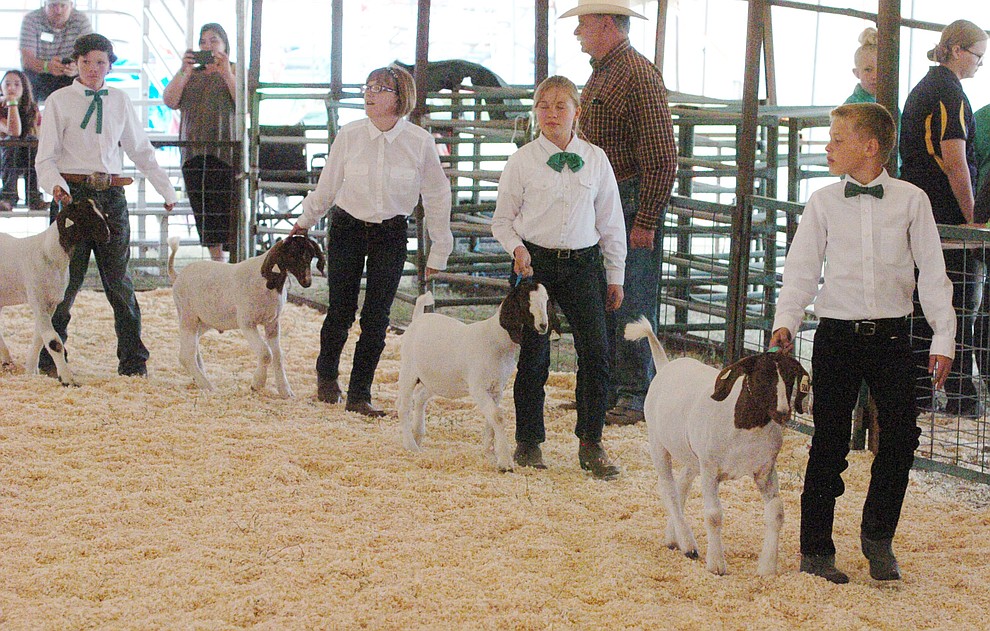 Boer Goat Novice Showmanship at the 2017 Yavapai County Fair at the Prescott Rodeo Grounds Wednesday, September 7 in Prescott . (Les Stukenberg/Courier).