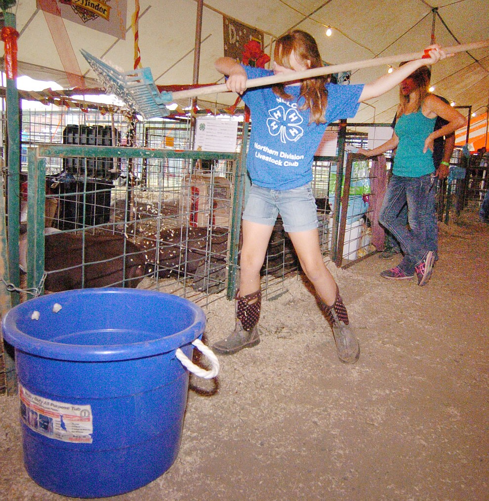 Ashlynn Luedeman cleans the stall at the 2017 Yavapai County Fair at the Prescott Rodeo Grounds Wednesday, September 7 in Prescott . (Les Stukenberg/Courier).