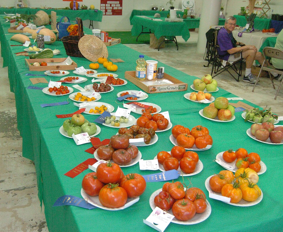 Some of the entries in the Agriculture/Horticulture contest at the 2017 Yavapai County Fair at the Prescott Rodeo Grounds Wednesday, September 7 in Prescott . (Les Stukenberg/Courier).